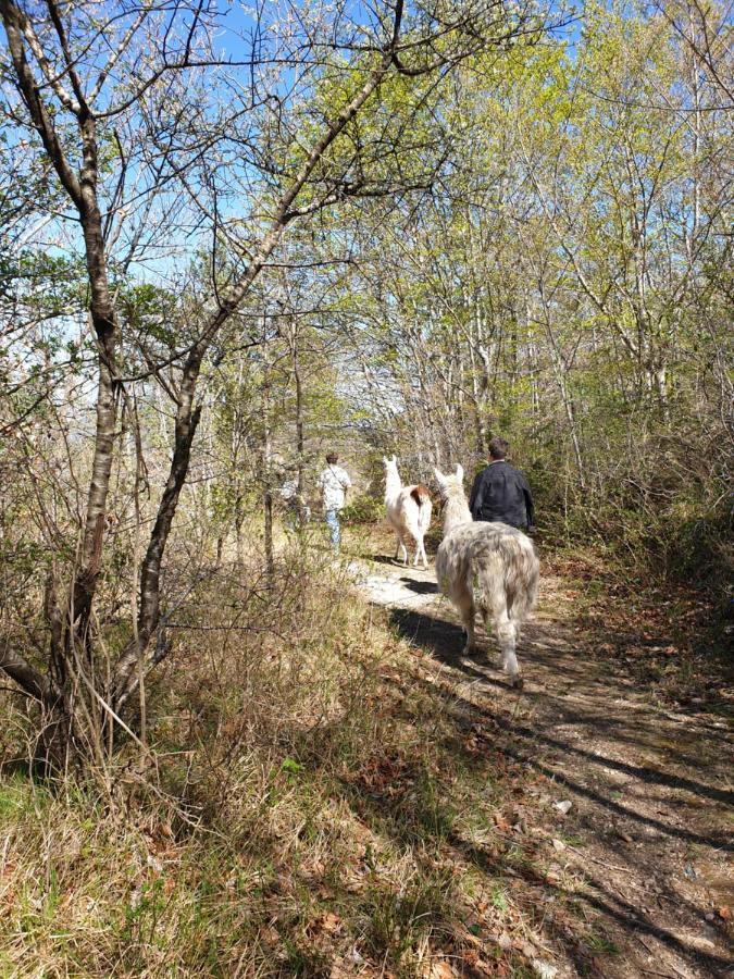 Willa Maison Au Pied Du Parc National Des Cevennes Arre Zewnętrze zdjęcie